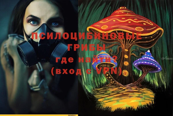 дурь Алзамай